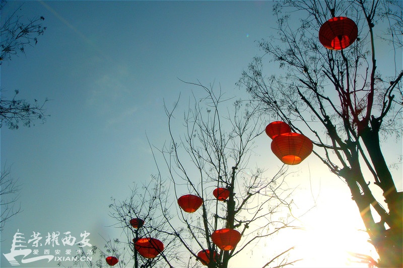 DSC01246_meitu_187.jpg