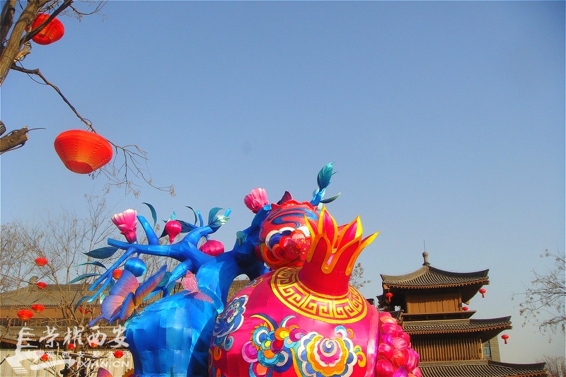 DSC01245_meitu_186.jpg