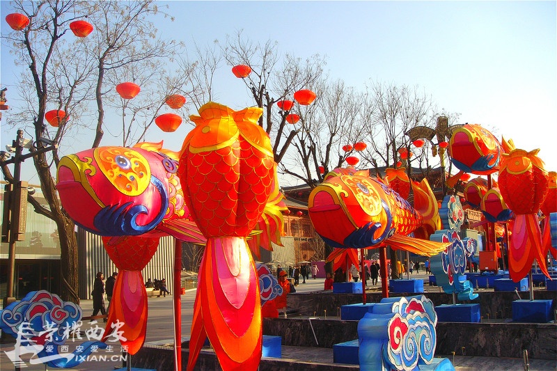 DSC01249_meitu_190.jpg