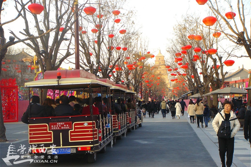 DSC01263_meitu_203.jpg