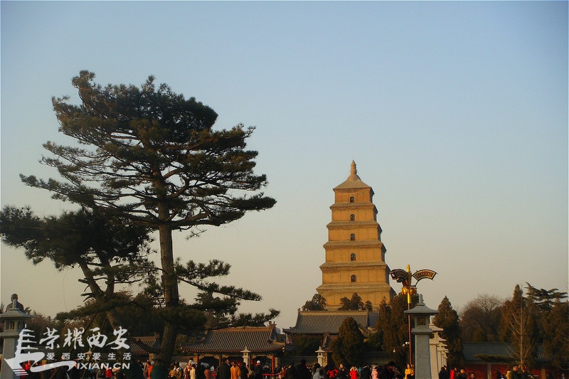 DSC01280_meitu_218.jpg