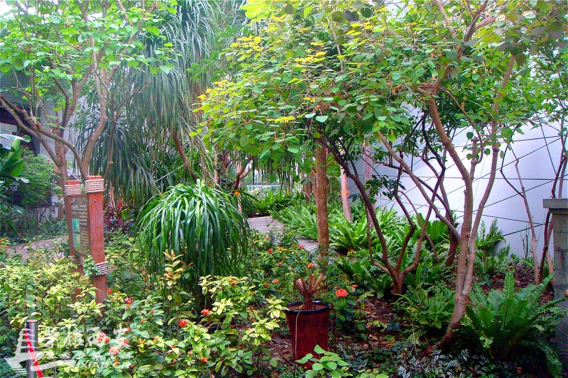 DSC01541_meitu_79.jpg