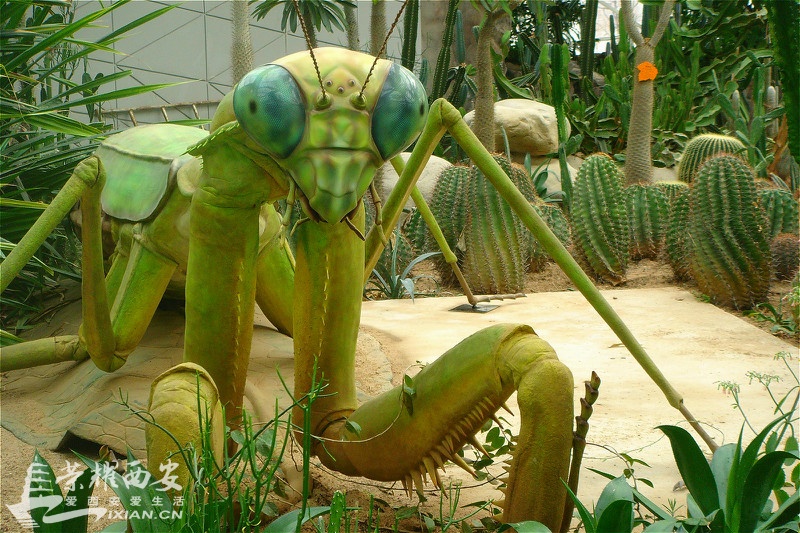 DSC01558_meitu_96.jpg
