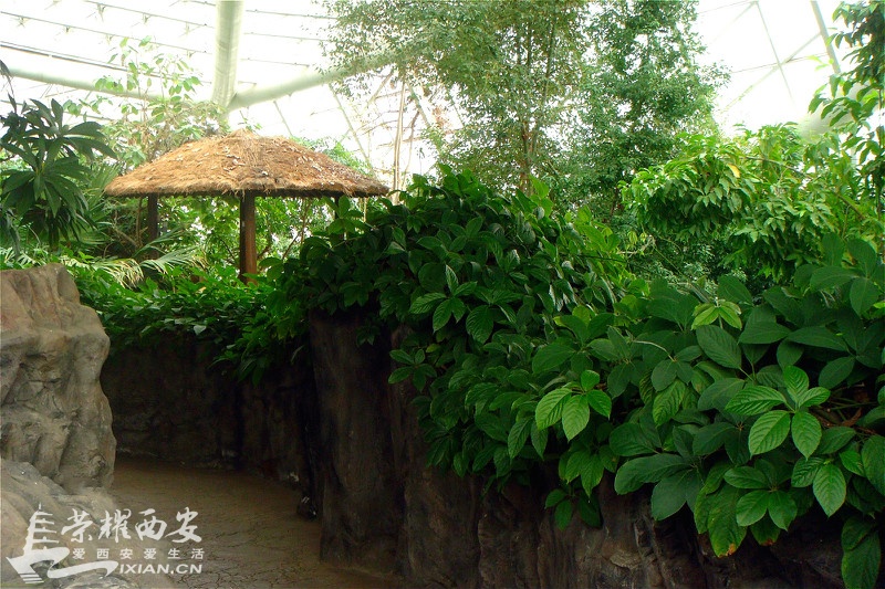 DSC01579_meitu_116.jpg
