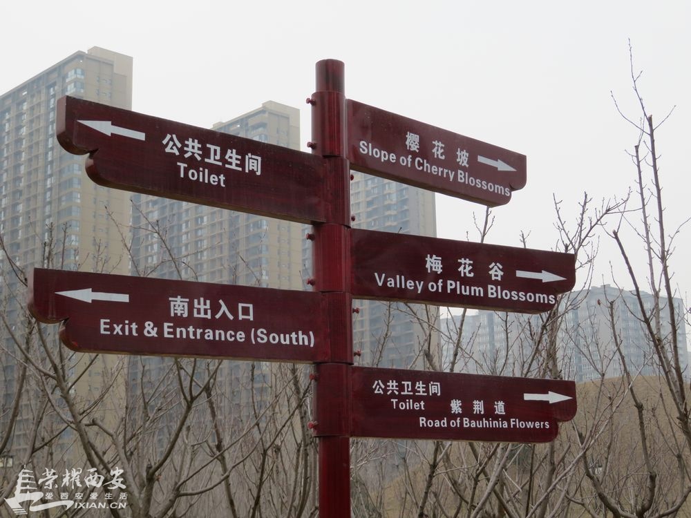 开元公园 (6).JPG