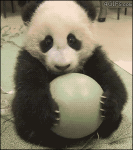20190228_559653_1551368066920.gif