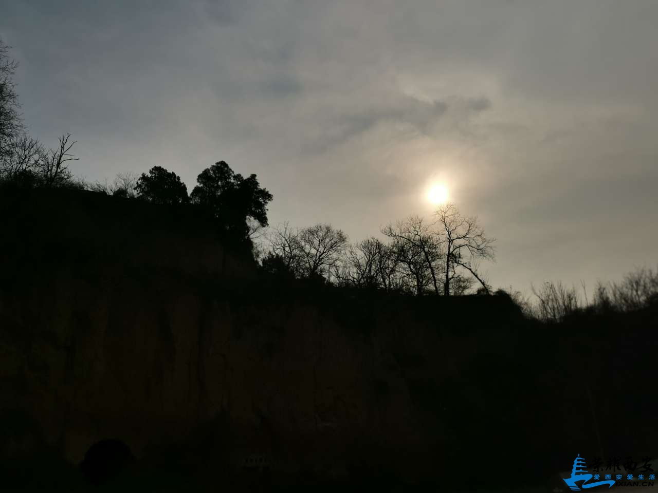 20190307_566948_1551966904925.jpg