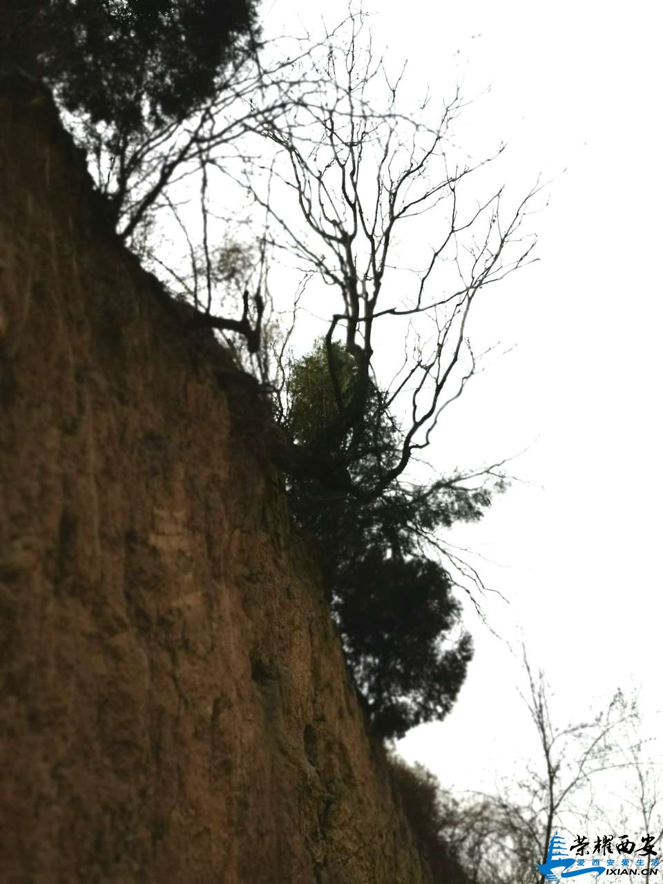 20190307_566948_1551967261828.jpg