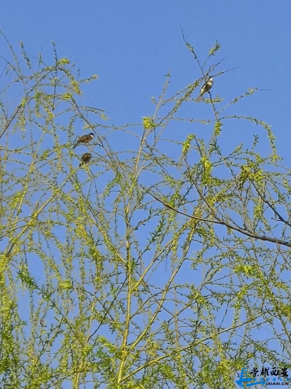 20190318_558791_1552871126956.jpg
