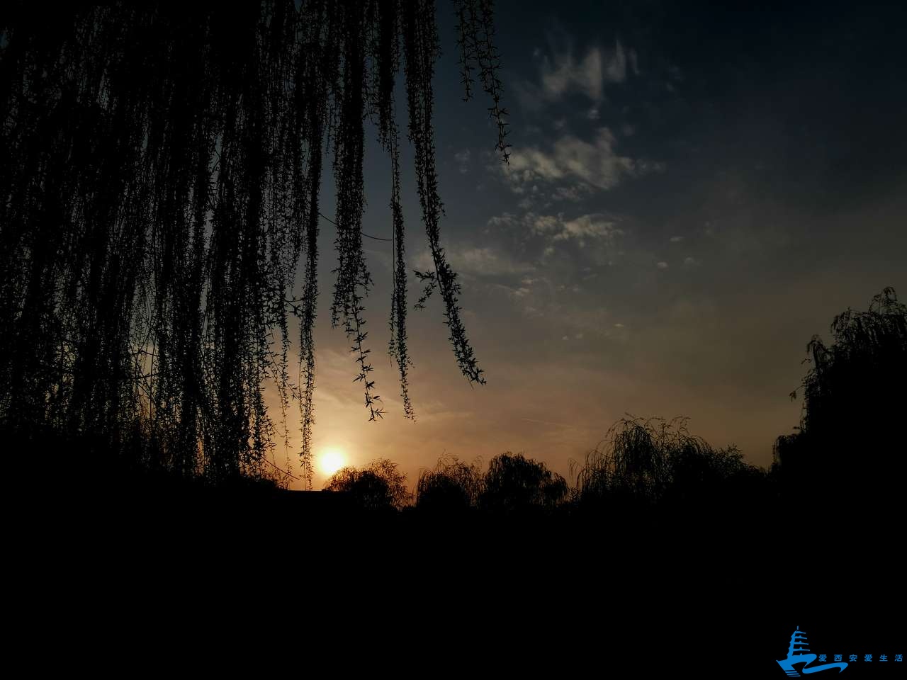 20190323_566948_1553355869235.jpg