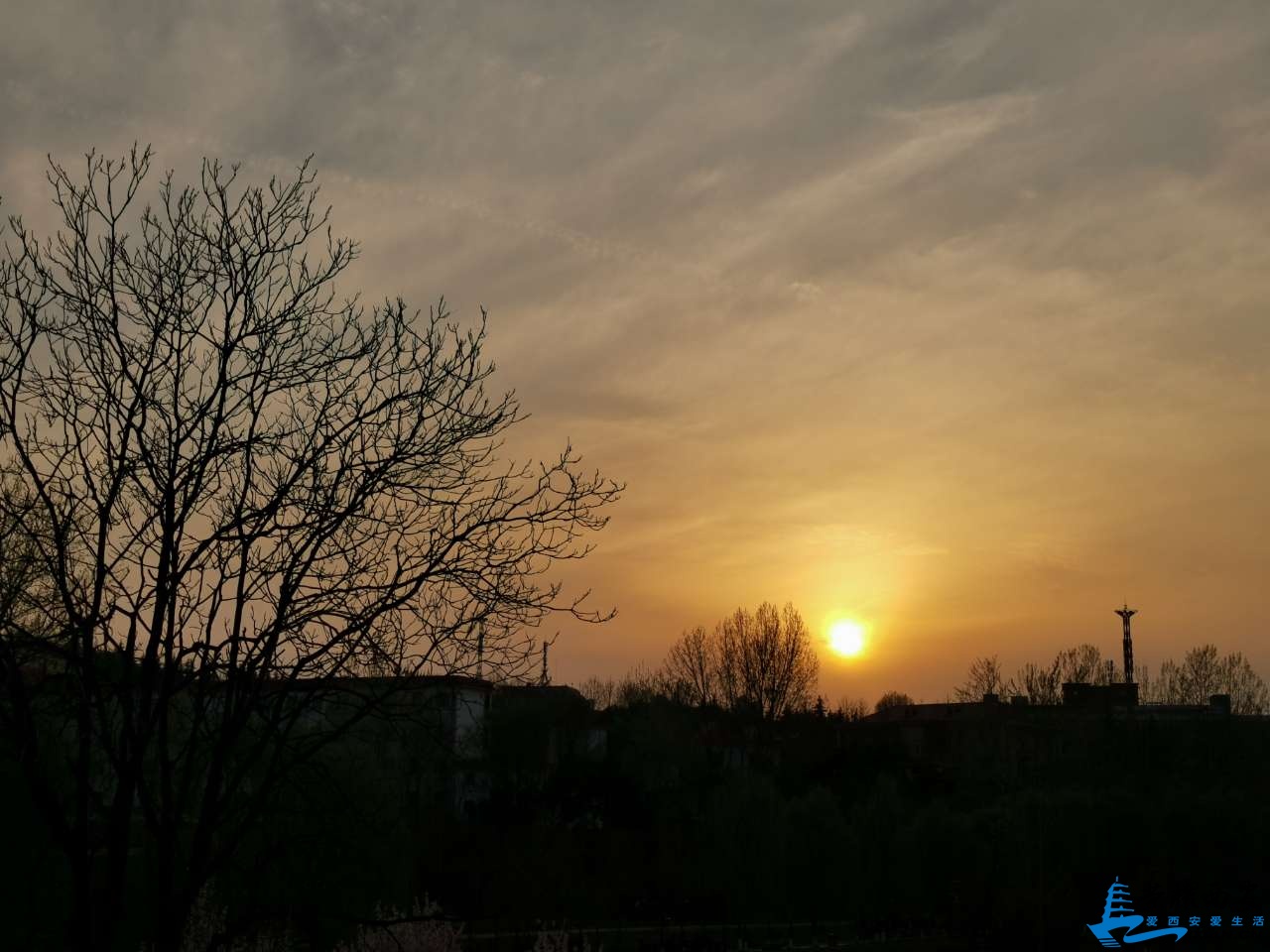 20190323_566948_1553356021693.jpg