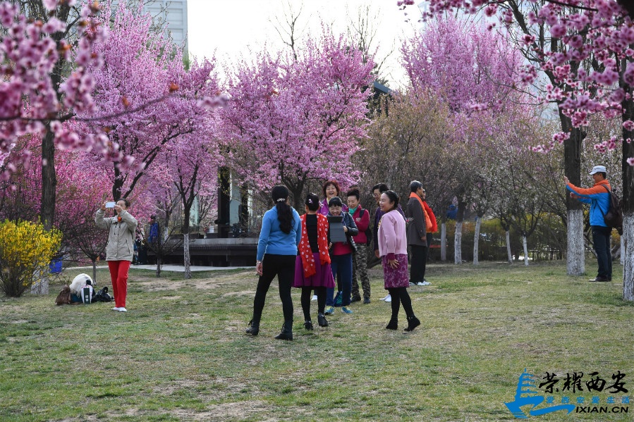DSC_0728_meitu_55.jpg