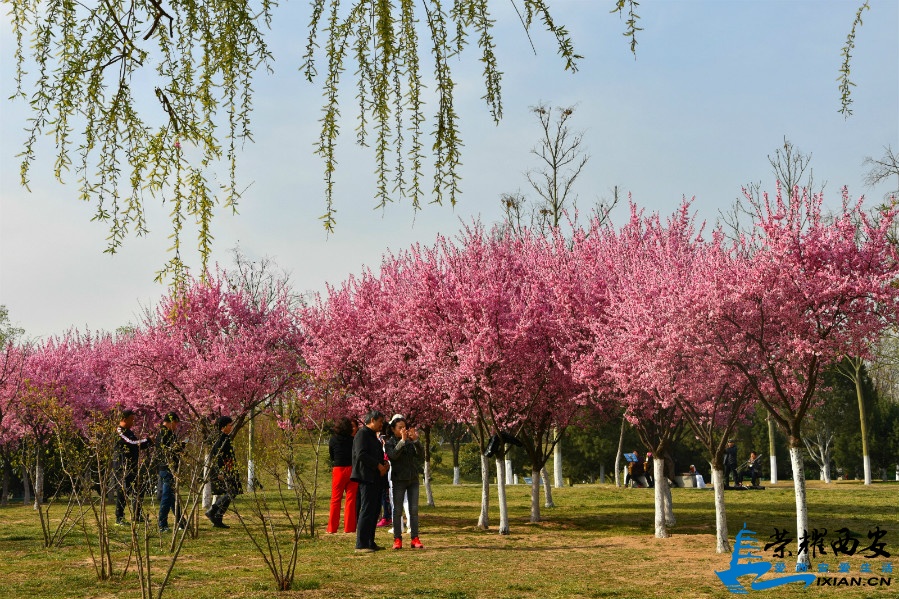 DSC_0742_meitu_62.jpg