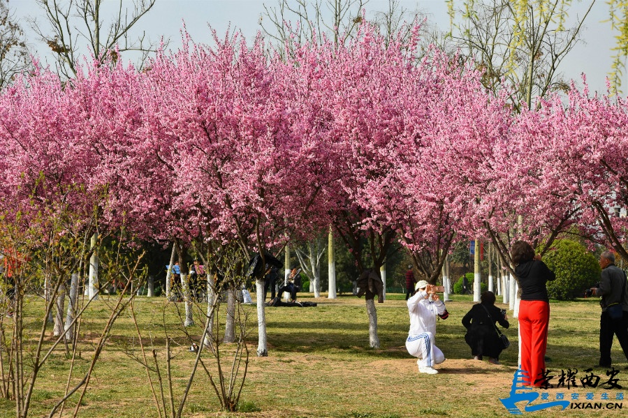 DSC_0750_meitu_64.jpg