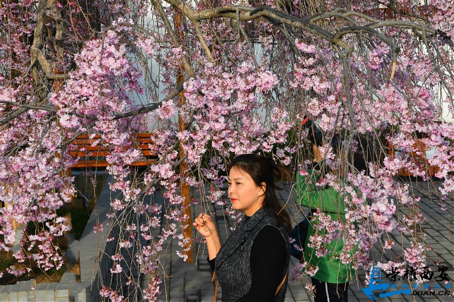 DSC_0875_meitu_9.jpg