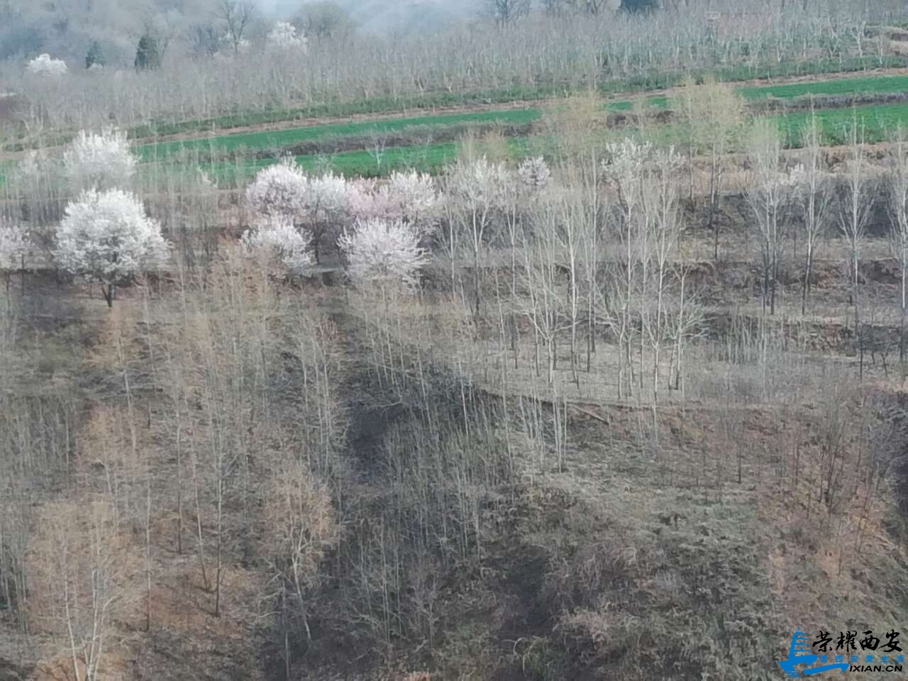 20190328_573121_1553769300246.jpg