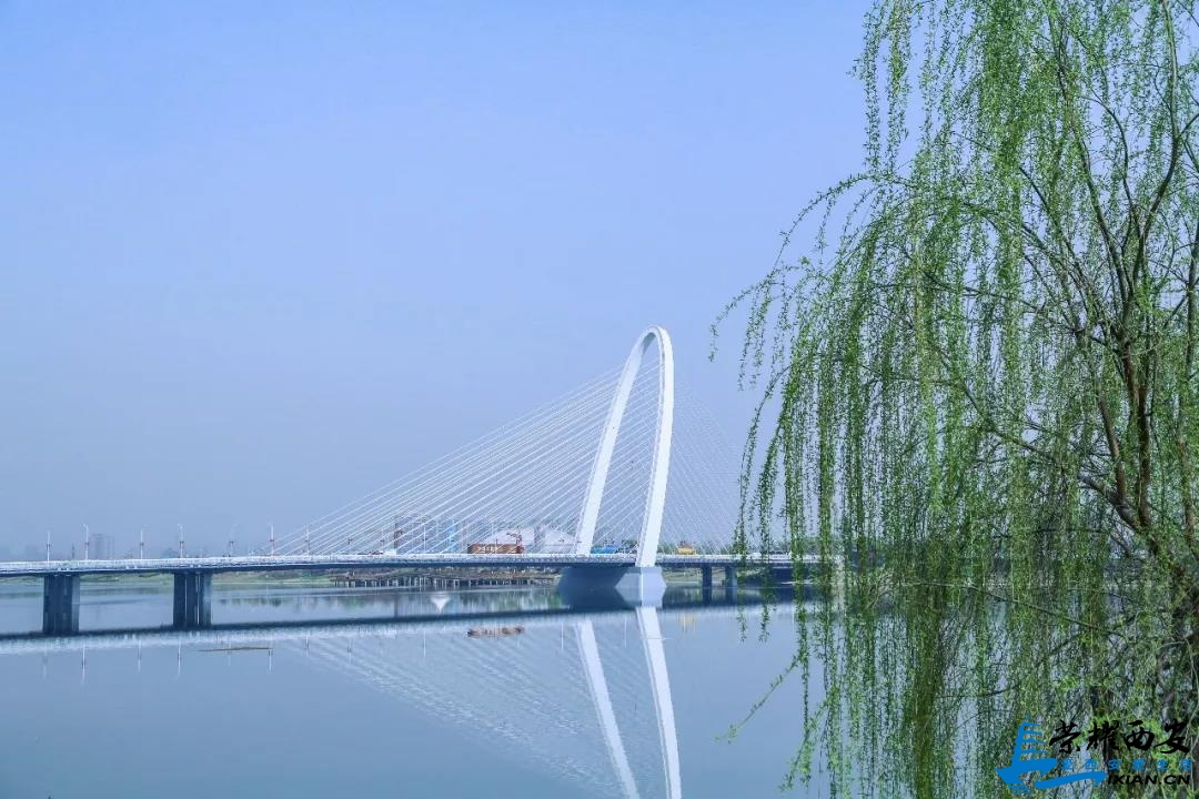 微信图片_20190329141436.jpg
