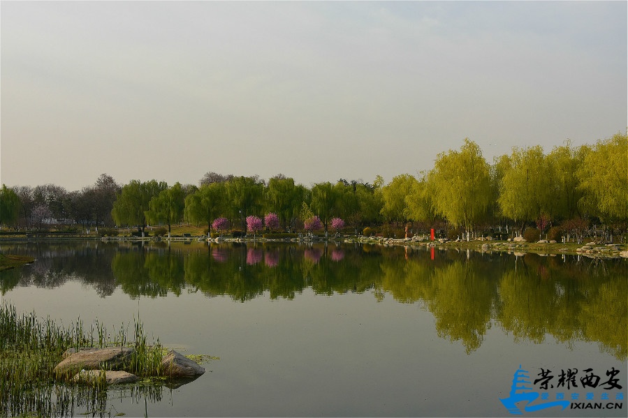 DSC_0624_meitu_13.jpg