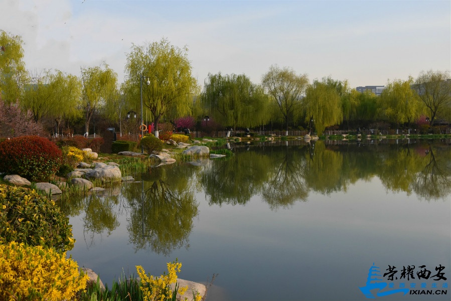 DSC_0633_meitu_21.jpg