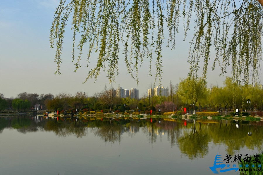 DSC_0662_meitu_30.jpg