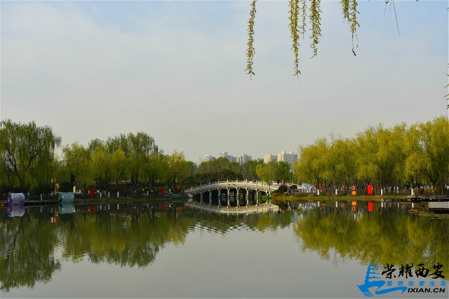 DSC_0679_meitu_39.jpg