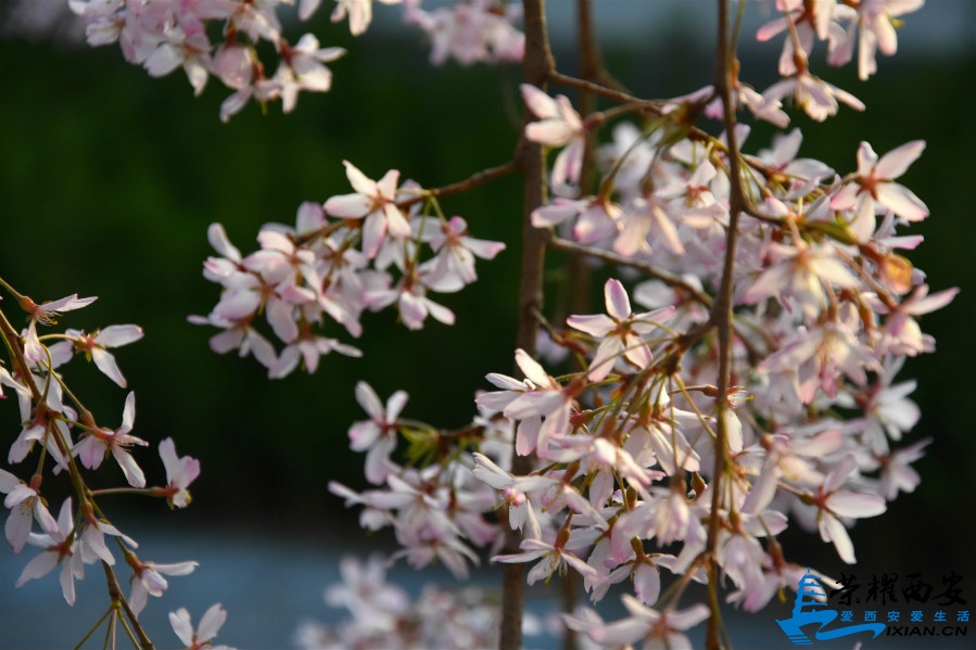 DSC_0847_meitu_21.jpg