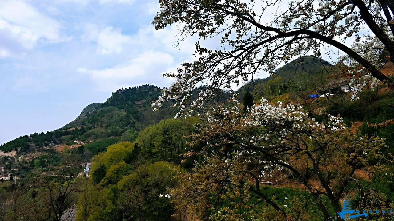 20190403_518588_1554295324731.jpg