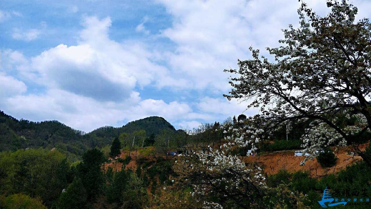 20190403_518588_1554295324880.jpg