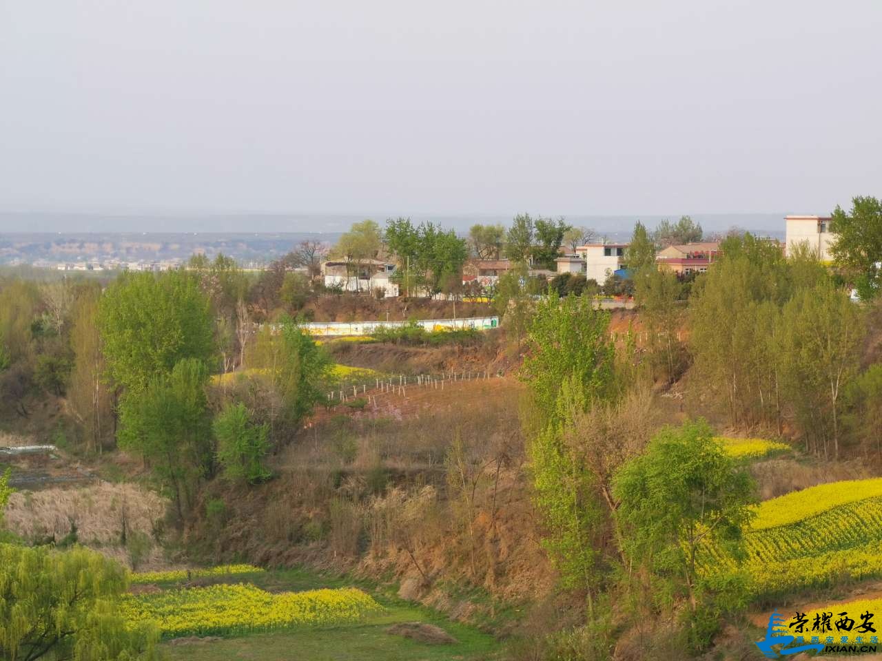 20190405_566948_1554410078528.jpg