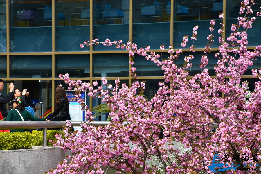DSC_1474_meitu_55.jpg