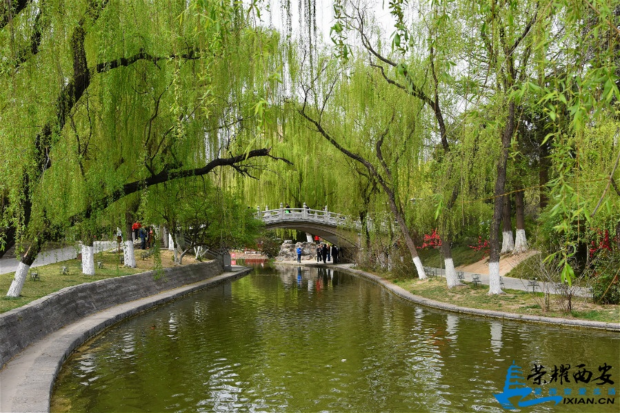 DSC_1259_meitu_13.jpg