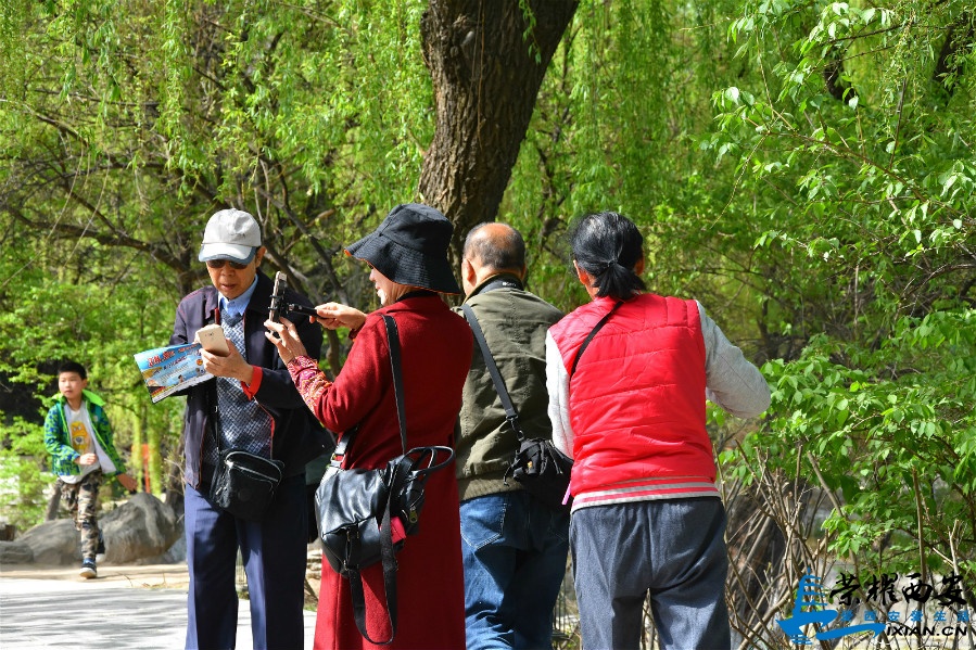 DSC_1364_meitu_35.jpg