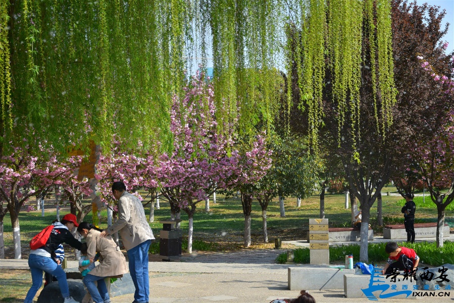 DSC_2290_meitu_62.jpg