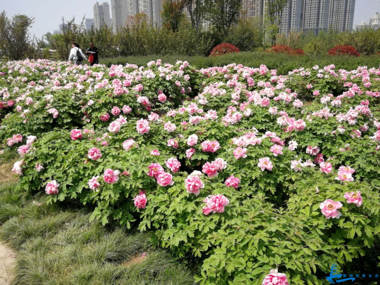 20190418_491197_1555533970529.jpg