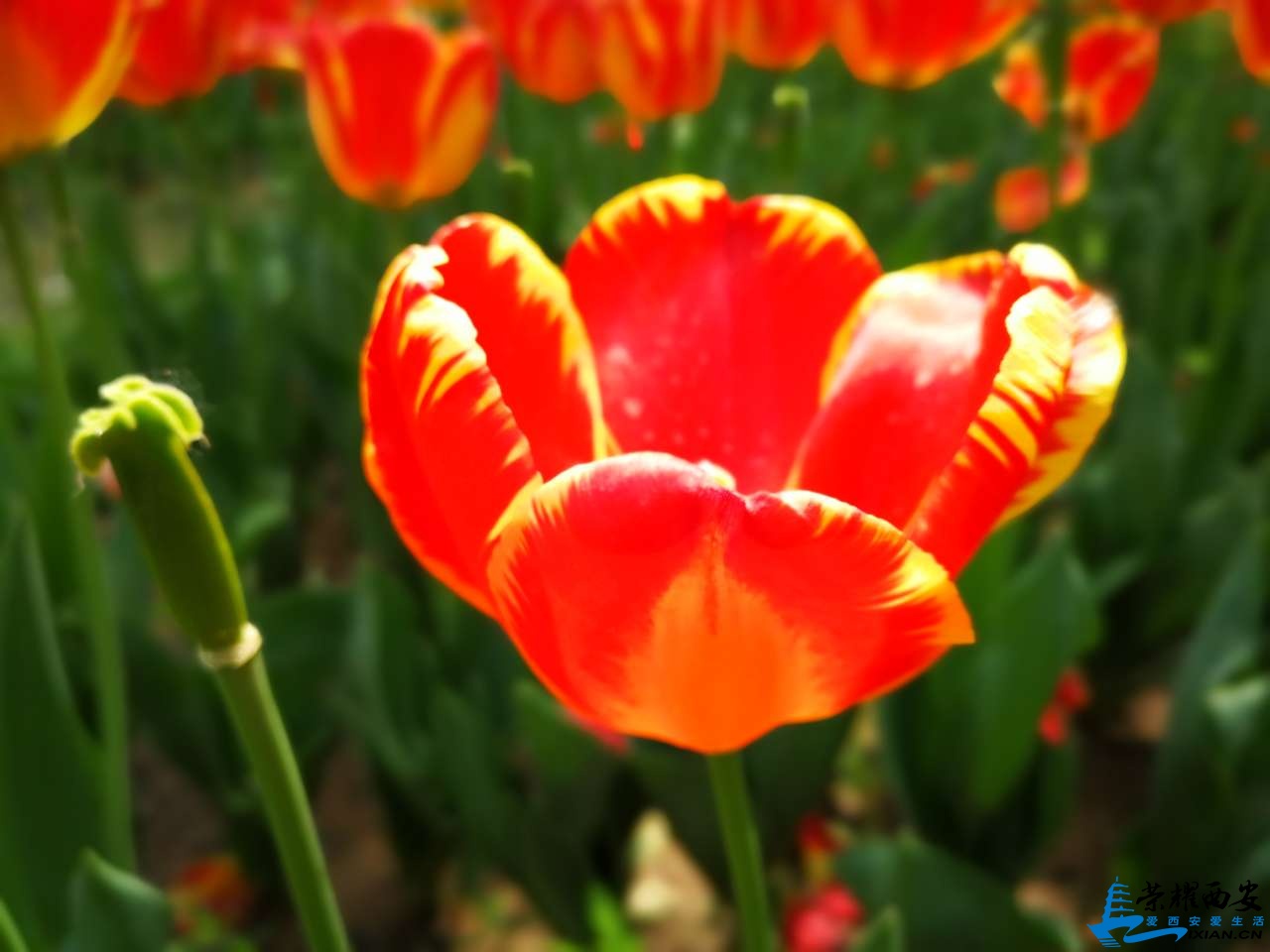 20190418_491197_1555533970949.jpg