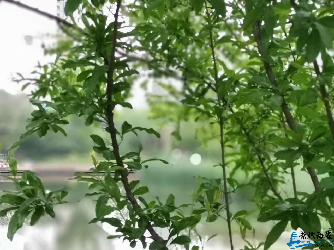 20190502_566948_1556772387166.jpg