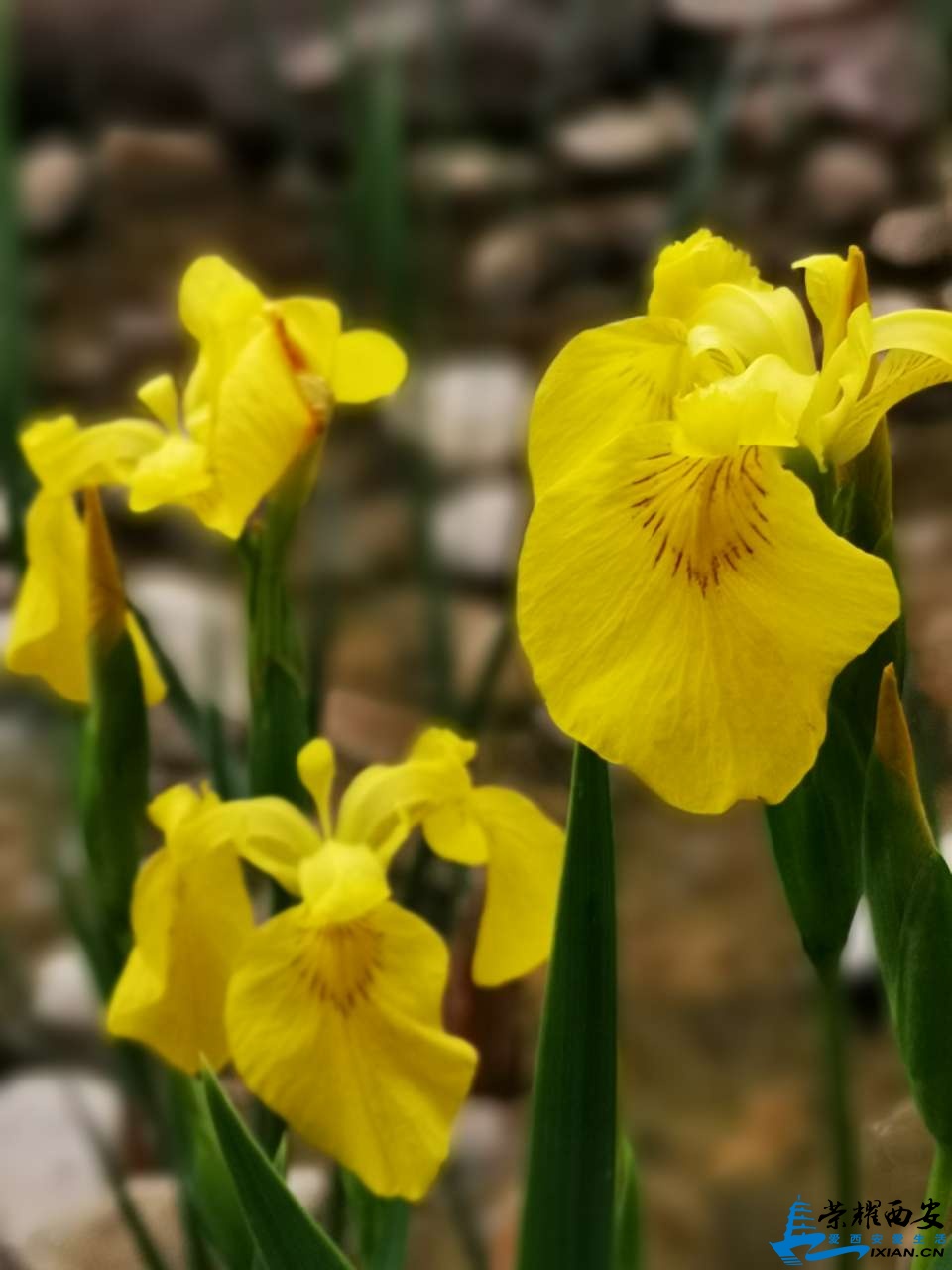 20190502_566948_1556772416118.jpg