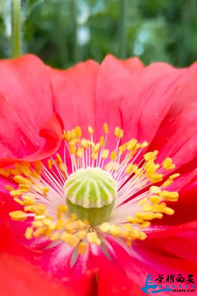 20190502_566948_1556772471987.jpg