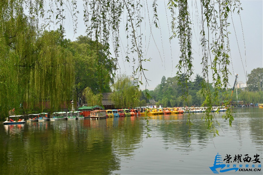 DSC_3088_meitu_57.jpg