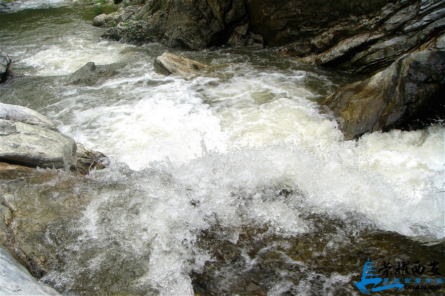 DSC03342_meitu_29.jpg
