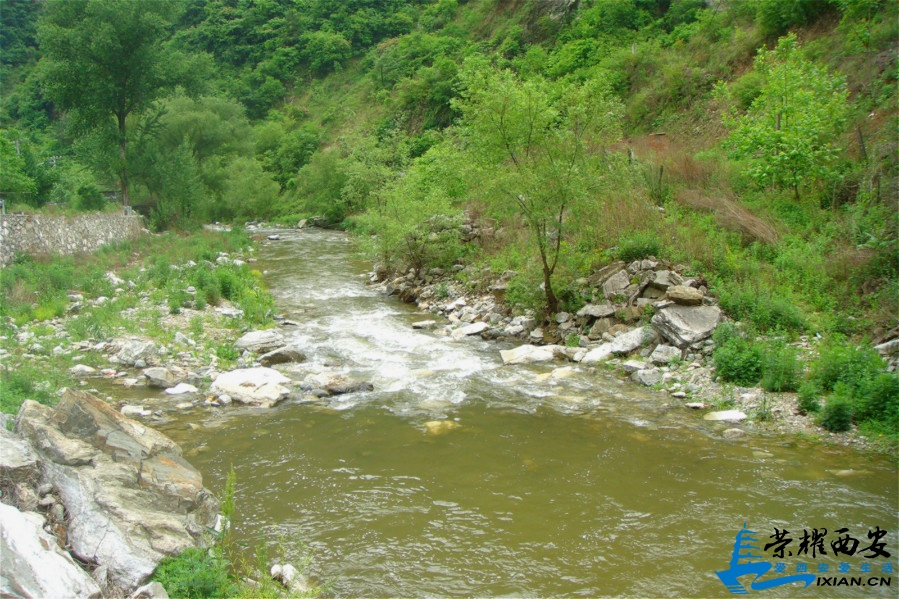 DSC03354_meitu_39.jpg