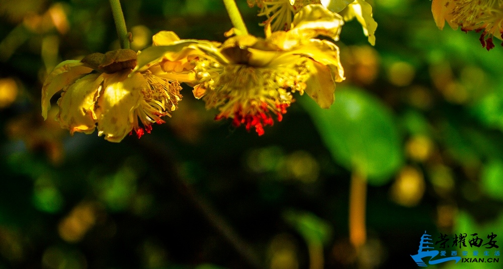 _IGP7729.jpg
