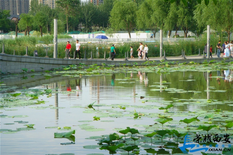 DSC06606_meitu_83.jpg