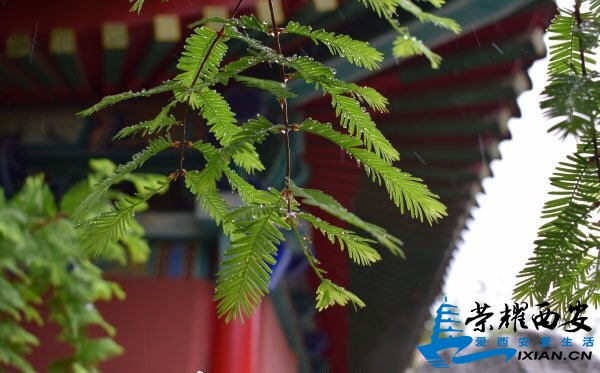 微信图片_20190518132600.jpg