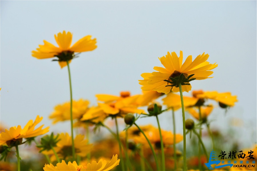 DSC_4058_meitu_79.jpg