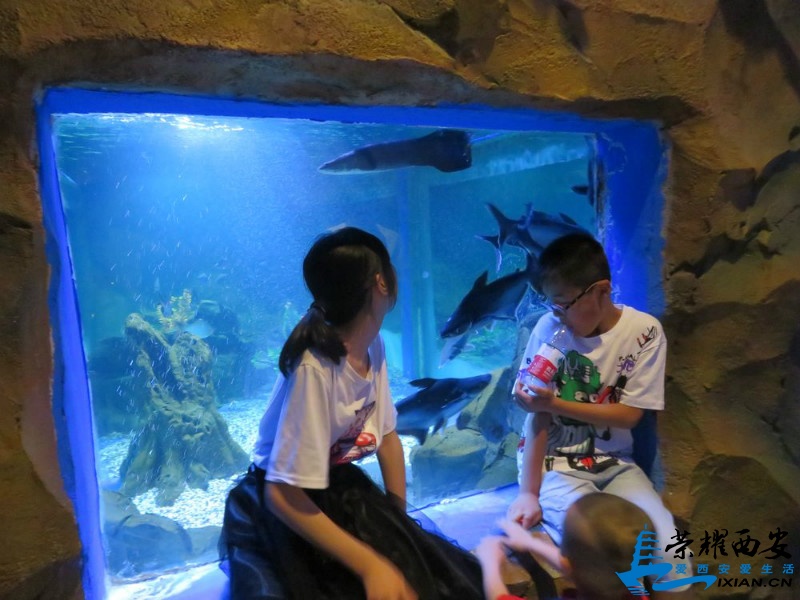 鐧介箍浠撶儹姘旂悆鍢夊勾鍗