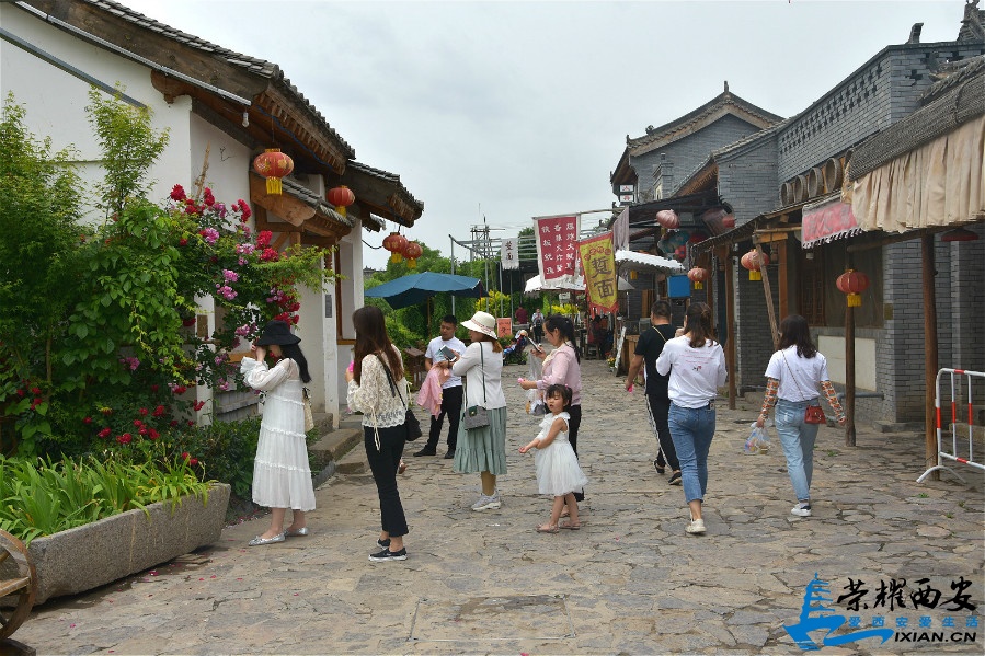 DSC_4236_meitu_48.jpg