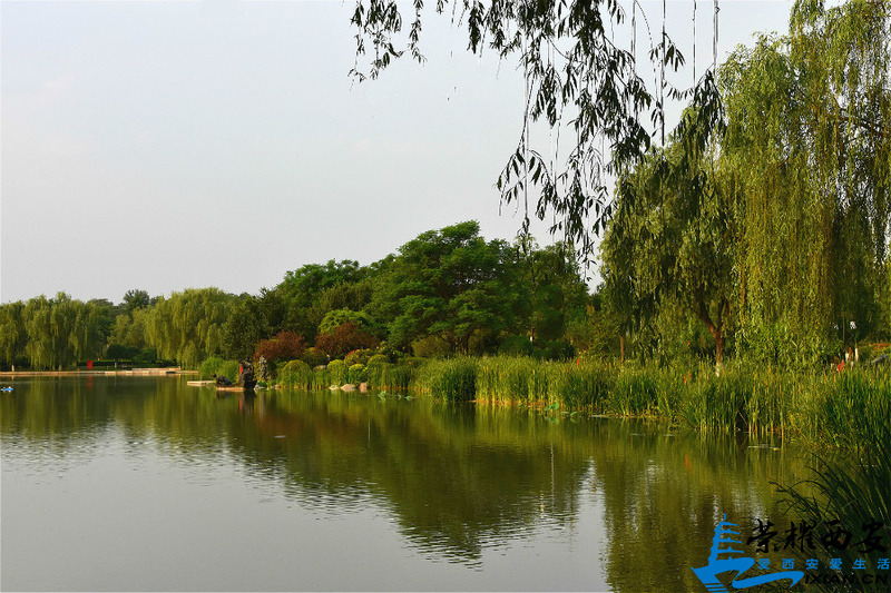 DSC_4579_meitu_5.jpg