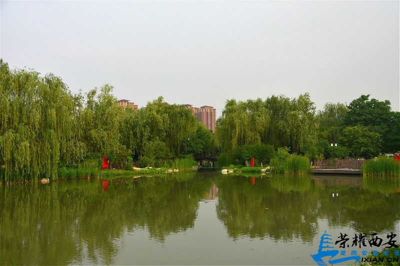 DSC_4606_meitu_24.jpg