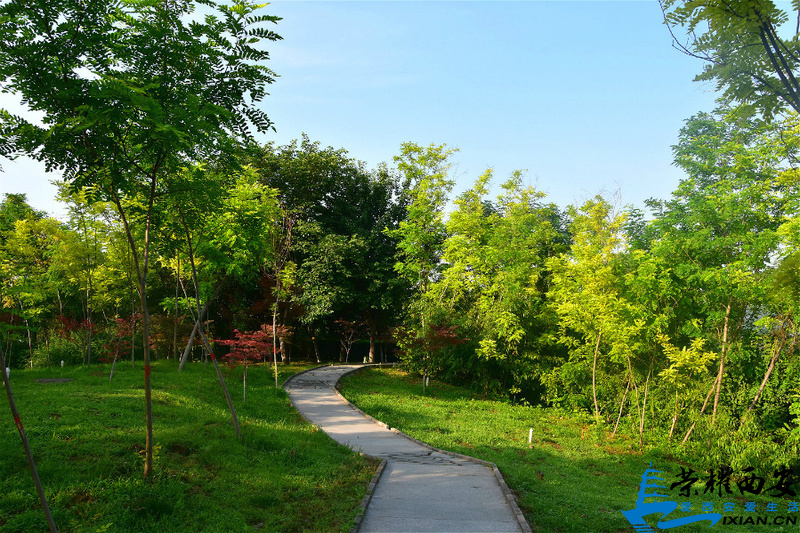 DSC_4781_meitu_14.jpg